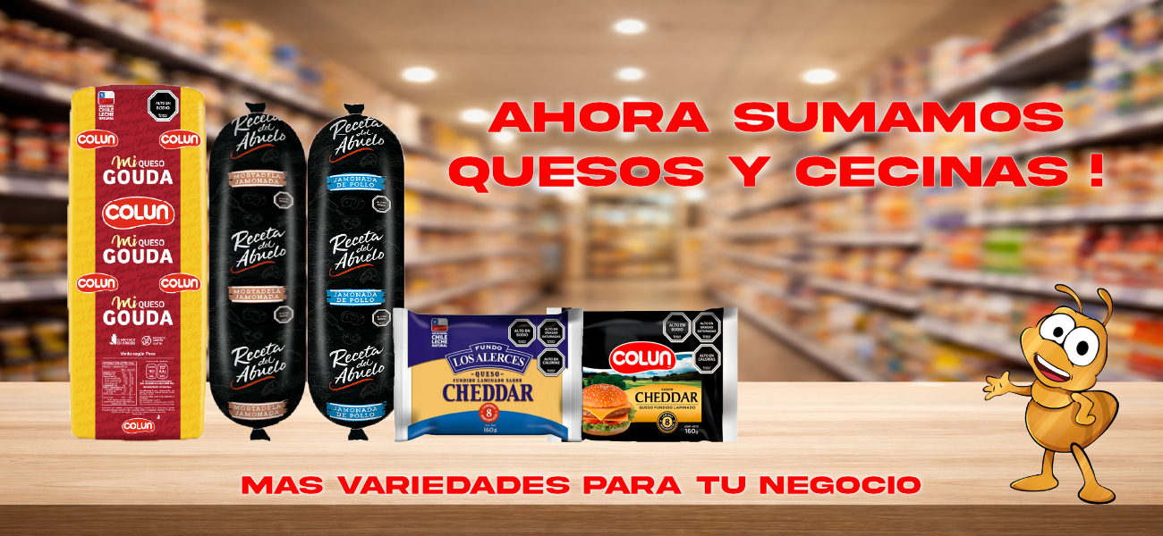 Ofertas mayoristas de abarrotes, bebidas y artículos de aseo en Maipú